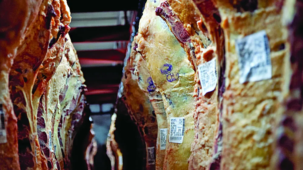 frigorifico-carnes