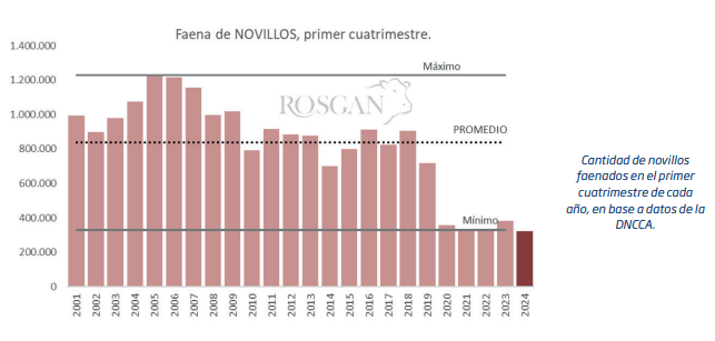 faena-novillos-numeros
